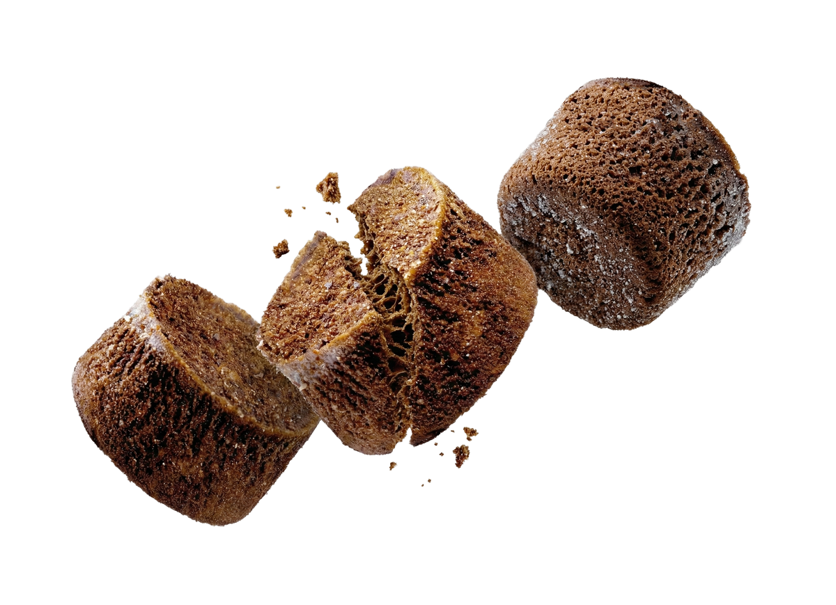 Vakuumtrocknung (Lyophilisierung)